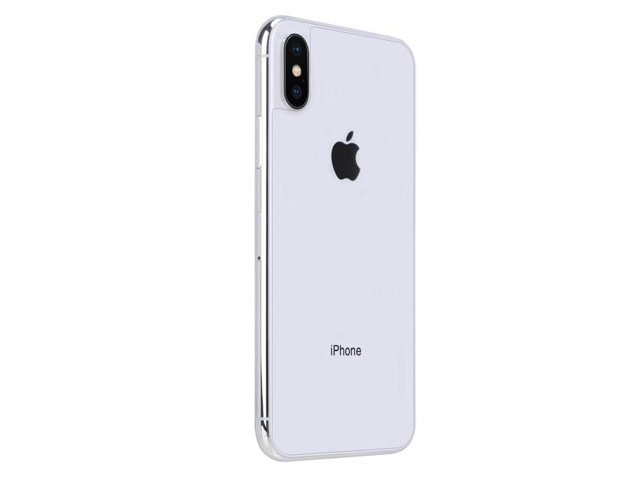 Защитная пленка Yotrix Glass Protector для Apple iPhone X (стеклянная, задняя)